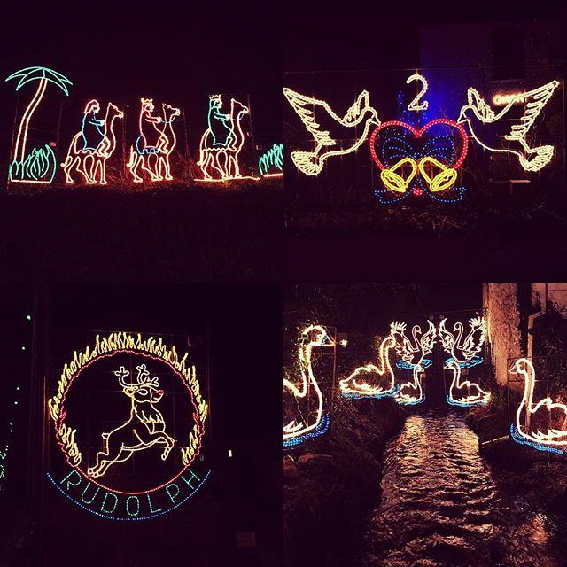 Such a magical time of year! Keeping up the tradition of trying to find all the reindeers and twelve days of Christmas lights around Angarrack 